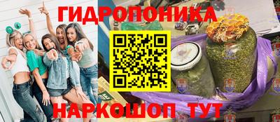 PSILOCYBIN Камышлов