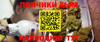 PSILOCYBIN Камышлов