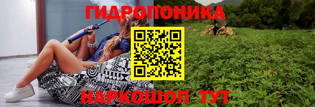 Бошки Шишки семена Комсомольск-на-Амуре